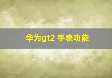 华为gt2 手表功能